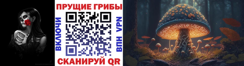Галлюциногенные грибы Cubensis  купить наркоту  Углегорск 